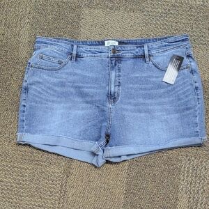 Candace Cameron Bure Light Blue Jean Shorts Size 20WP